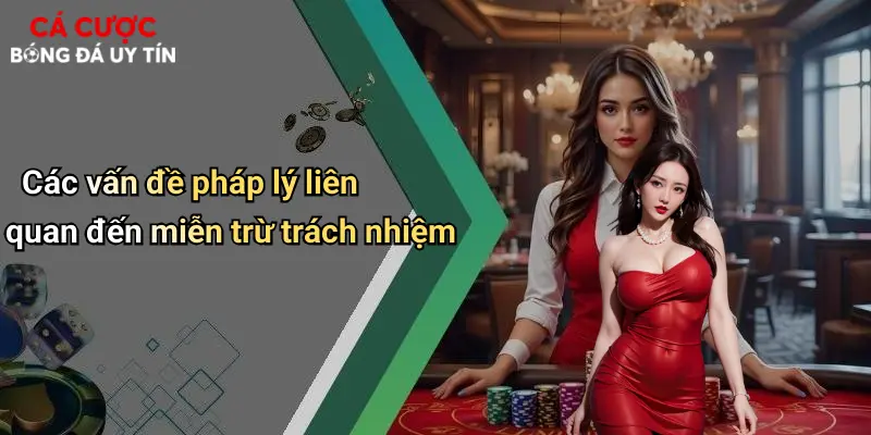 Các vấn đề pháp lý liên quan đến miễn trừ trách nhiệm