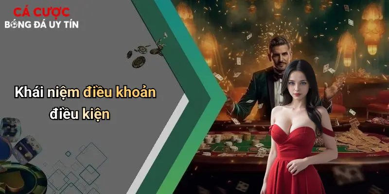 Khái niệm điều khoản điều kiện