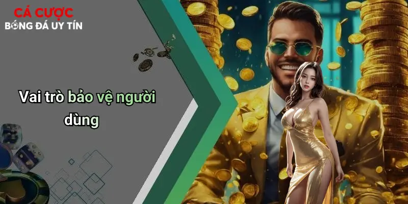 Vai trò bảo vệ người dùng