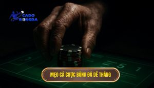 mẹo cá cược bóng đá dễ thắng