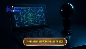 top nhà cái cá cược bóng đá uy tín 2025