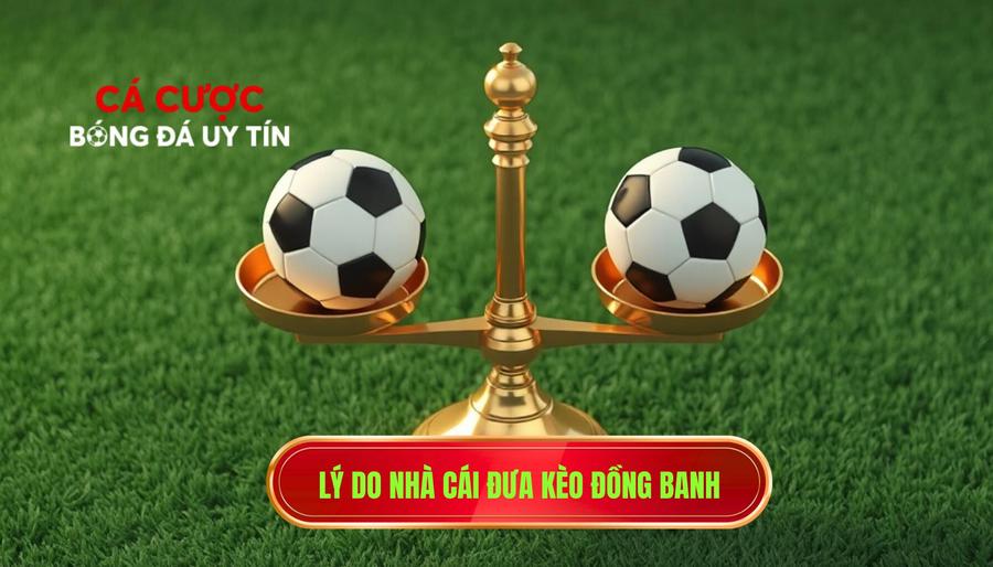 Lý do nhà cái đưa kèo đồng banh